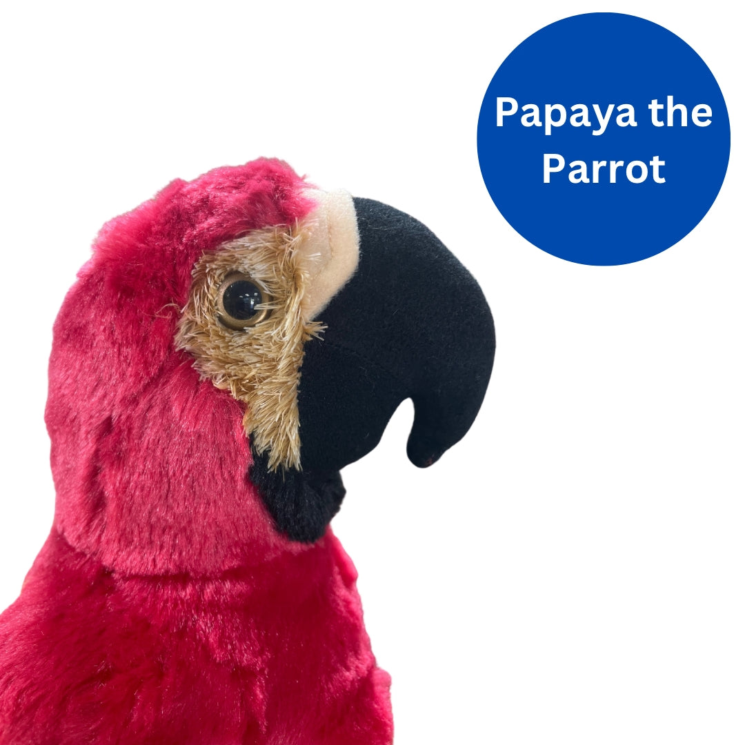 Stuffed Animal Plushie Papaya the Parrot