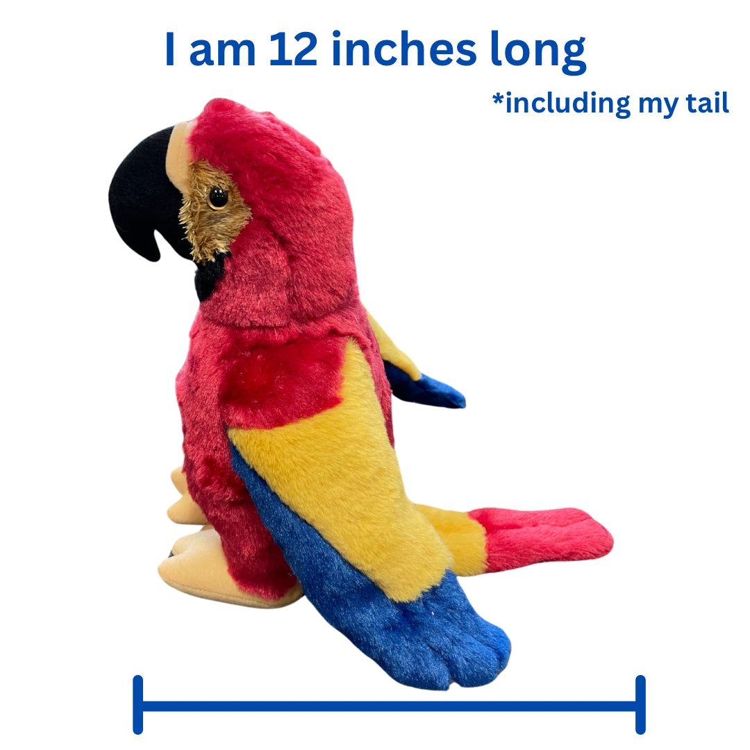 Stuffed Animal Plushie Papaya the Parrot