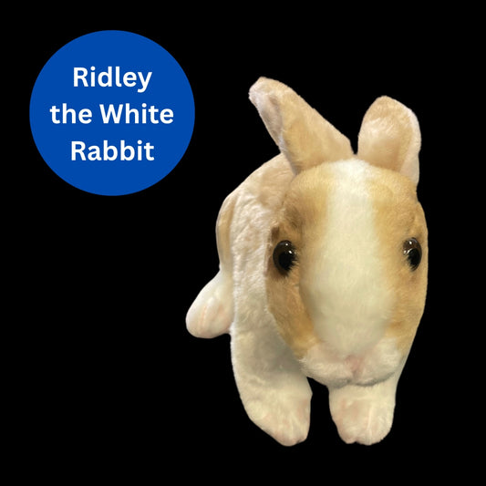 Stuffed Animal Plushie Ridley the Rabbit